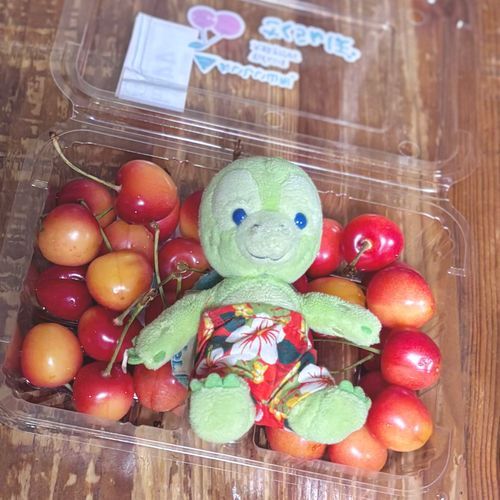 さくらんぼださくらんぼ🍒