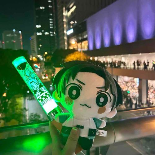 ぴあアリーナとぬいちゃん
すてきなよるだったね
はいしんライブも たのしみだ