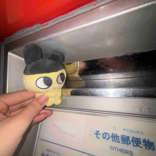 入っちゃダメ！！運ばれちゃうよー！