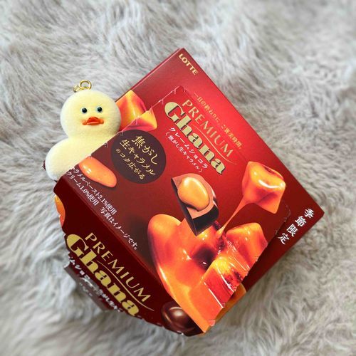 これ美味しかった(•ө•)ぴ🍫