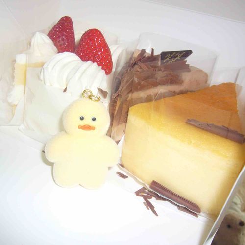 デジカメで撮ったらおめめキュルキュルでかわいいね、(•ө•)ぴ