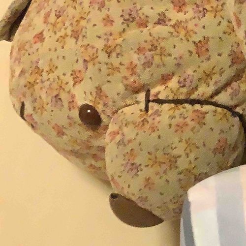 ぷーがおおきくって なかなかそとにでないから
おへやでのおしゃしんしかとれないよ…

おばーたんちにいくから そのときとる！！