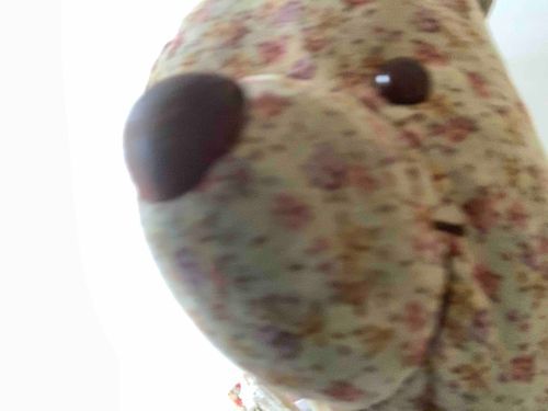 やくどうかん