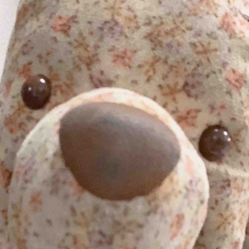 ひさしぶりのどあぷ
