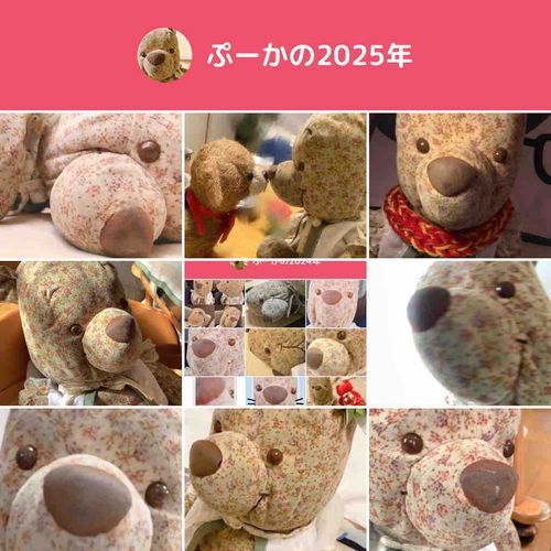 いちねんありがと