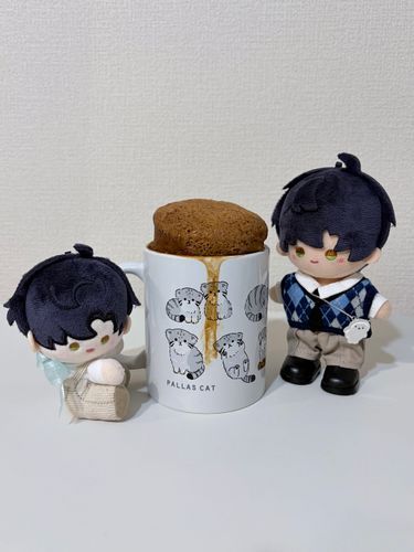 モコモコのチョコ味だ。膨らみすぎてレンジの天井についてしまうかと思った。
