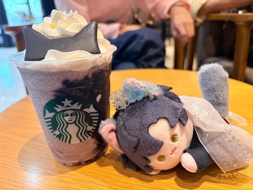 ブラックベリーヨーグルトフラペチーノのチョコチップ追加、ホイップ増量の黒耳ver.だ。ヨーグルトのお陰でさっぱりとした甘さだな。……次はホワイトモカシロップを追加しても良いかもしれない。