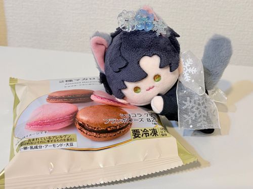 ローソンでマカロンを見つけたぞ。しかし今日は別に食べるものがあるから、マカロンは明日だそうだ。そうか……