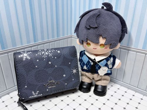 ひづが私の概念の財布を買ったと上機嫌だ。自分への1つ目の誕生日プレゼントらしいが、誕生日は12月でまだ先だろう……いくつプレゼントを買う気だ？