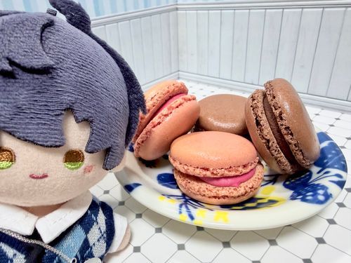 糖分補給の時間だ。……疲れた顔をしているな。温かい紅茶も飲んで、ゆっくり休むといい。