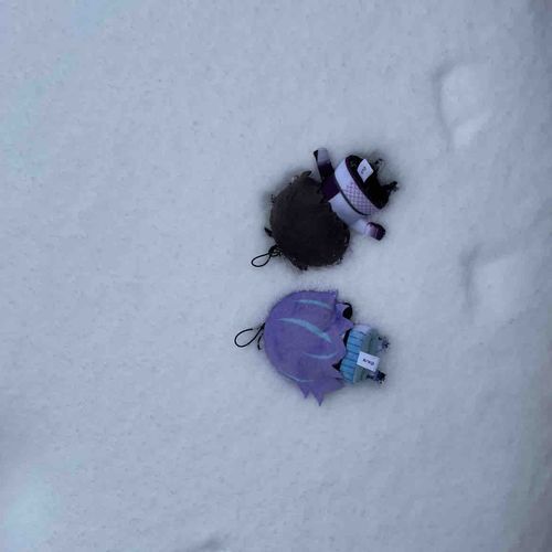 これをやらなきゃ雪が積もった楽しみを味わえないのよ(((ズボ