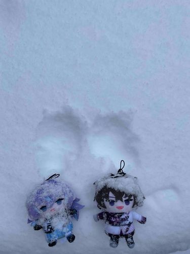 雪景色~ぱぺとぱぺの型をそえて~
........ブハッッ!!も、もちぬし、おれたちをゆきにおとしてからようしゃがない.....
きゅーとあぐれっしょん?とかいうのをかんじるらしい
ーキミ達を手を滑らせて落とした瞬間、お風呂に入れるの確定したからねえ....(◜ᴗ◝ )