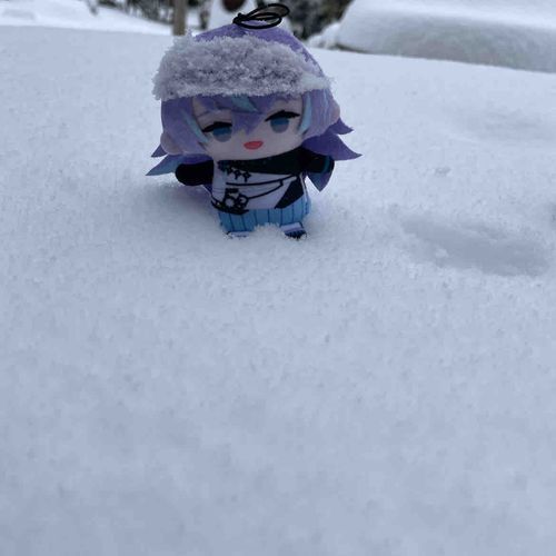 これは雪から引っこ抜いたら帽子みたいになってたるべち氏
もちぬしぱぺぎゃくすきですよね?
