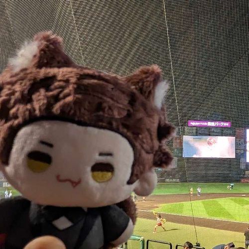 やきゅうかんせん⚾️