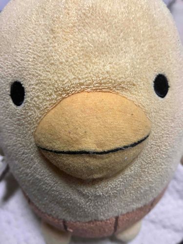あほづらです