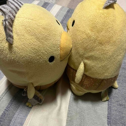 しんやにすもうしです