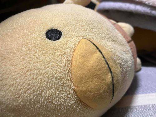 めあけてねてるおきろ