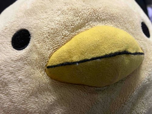 ねたがない