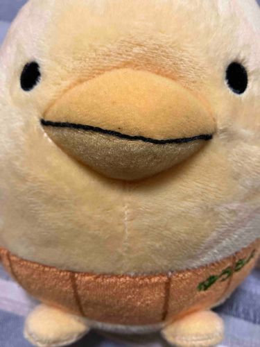 しんいりだで