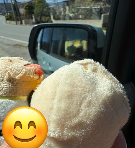 🚗💨
キャッキャッ😊☺️

(この後、んばもちが手からコロッと落ちてしまったのでまとめてみんなお風呂🛀行きになりました🥹)
