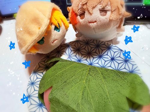 かしわもちさんありがとう！の儀
ありがとだゃ！
ありがとうございます✨