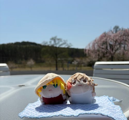 よし(とってもいいてんきでのんびり　　　　でしたよ
んば(うとうと…💤