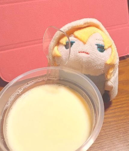 おれの なまえは
やまんばぎり ぷりんだいすきのすけ くにひろ だ！
よろしく たのむ(キリッ✨