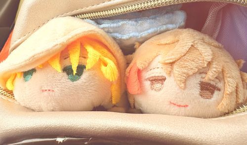 ひょこっ
んば(みんな、ごきげんよう だゃ！
よし(おひさしぶりです！