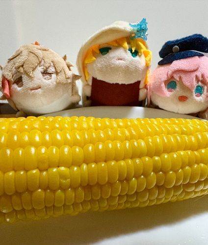 あちあちち💦
とうもろこし🌽おいしいね