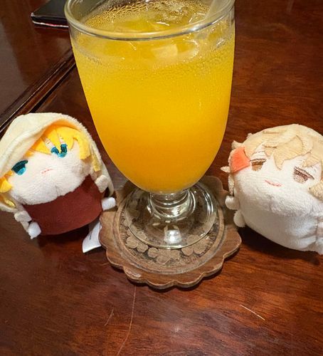 おれんじじゅうすで かんぱ〜い🥂