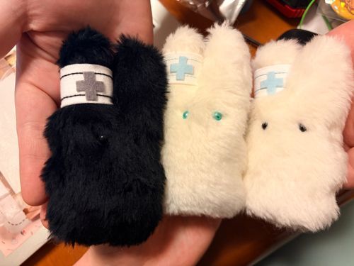 実はちょっとだけおめめのお色が違う、オッドアイうさナースクローンさんをお迎え
かわいいね………手のひらいのち……