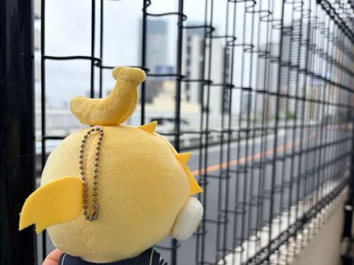 速かったよ