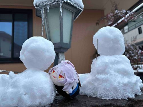 Fuhuhu、先日の雪の日の写真デス。
ワタシの作った雪だるまは愛らしいデスねぇ、脱がしてしまいまショウか？