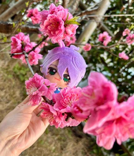 おやおや、これは見事な桃の花だね。
文系らしく、静かに愛でてあげようか。