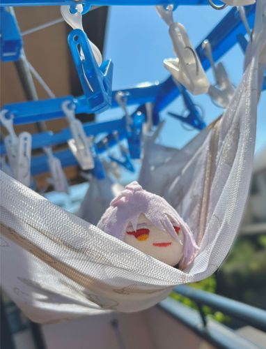 脱いでもいい、という言葉に騙されてはいけまセン。
ワタシのように脱がされ、洗われてしまいマスよ。