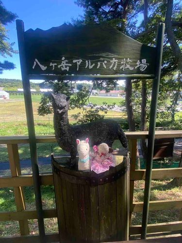 山の空気ってきもち〜ね🎶