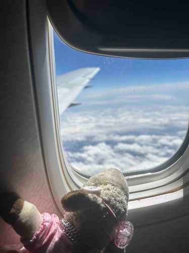 くものうえ！？☁️