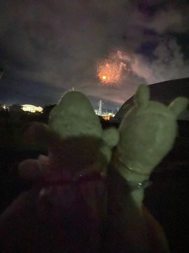 つぎの夏もいっしょにみたいな