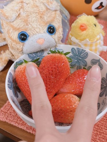 明日から岐阜にお引越し‧∘˳°∗˚⛟最後にいちごを食べて、頑張るぞー！