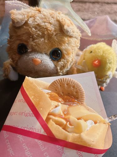 駅前に知らないクレープのお店があったの！！キャラメルプリンのクレープおいしすぎたのー♡♡