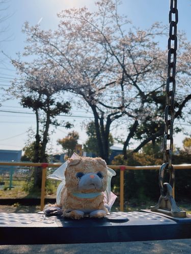 お仕事の場所に早く着きすぎたから公園でお花見したの( *´꒳`* )自然豊かでサイコーなの〜♡♡