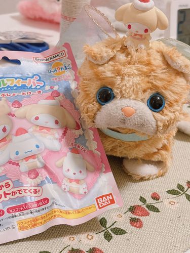 こむちゃん、お風呂でさっぱりしてきたの🫶モコモコの泡とかわいいマスコットが出てくる入浴剤で癒されたの～🫧