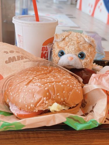 こむちゃんよりも大きなハンバーガーなの🍔！！お野菜がシャキシャキで美味しかったの〜(*´ڡ`*)