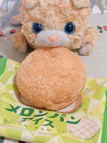 ファミマのメロンパンアイス🍈🍨幸せの味だったの〜(*˘︶˘*).｡.:*♡