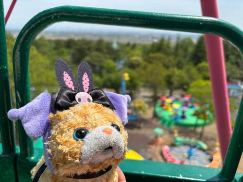 今日はこむちゃんの9歳の誕生日🎉🎉🎂♡♡クロミちゃんのカチューシャをプレゼントして遊園地で遊んだよ！！