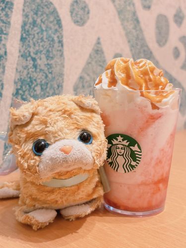 久しぶりのスタバ.*･ﾟいちごのフラペチーノにキャラメルソースを追加したよ！！あまあまで美味しかったの(´﹃｀)