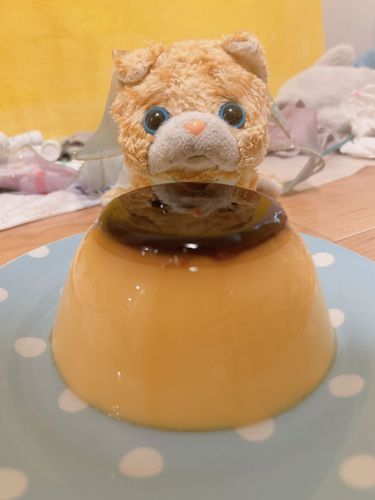 おっきなプリンを食べたよー！🍮おなかいっぱい😋
