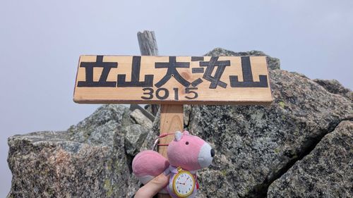 飼い主と一緒に立山三山を登ったよ〜⛰️
標高3000m以上は久しぶり！