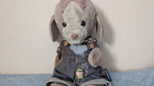 昨日、ご主人は早く帰ってきてランニングするって言ったのに映画見に行ってた💢
でもお土産もらったから許す。