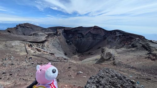 飼い主と初めて富士山に登ったよ。
日本で1番高いところ✨️